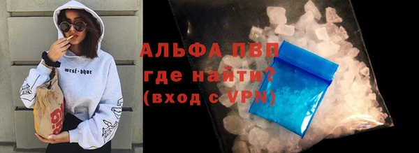 мяу мяу мука Инсар