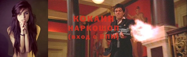 мяу мяу мука Инсар