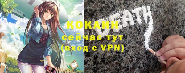мяу мяу мука Инсар