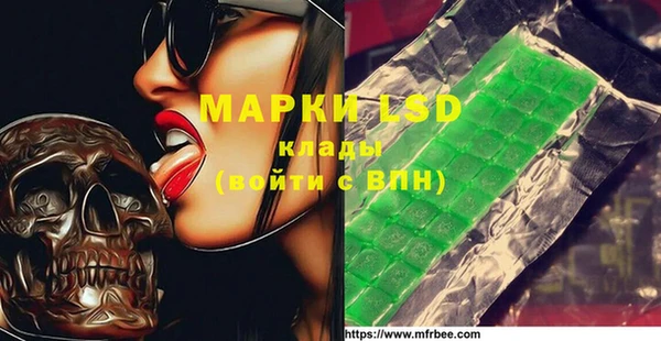 мяу мяу мука Инсар