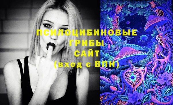 мяу мяу мука Инсар
