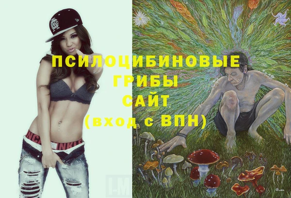марки nbome Инта